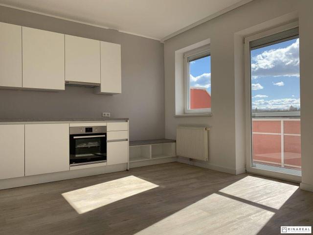 Apartment mieten in Eggendorf, Niederösterreich