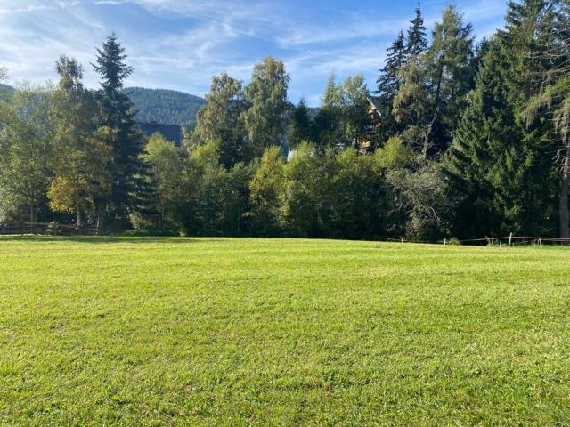 Wohnung kaufen in Krakauhintermühlen, Steiermark