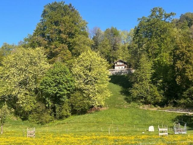 Immobilie kaufen in Matten bei Interlaken, Bern