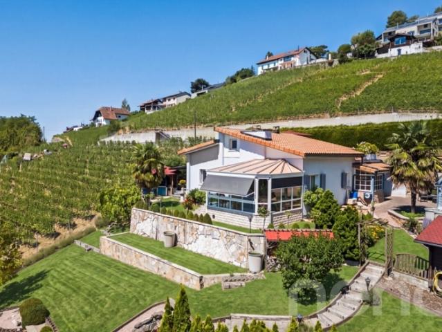 Einfamilienhaus kaufen in Bourg-en-Lavaux, Waadt