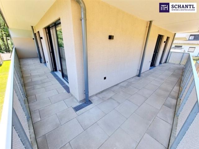 Wohnung kaufen in Kaltenleutgeben, Niederösterreich