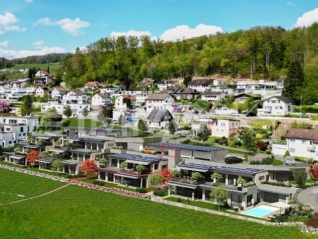 Einfamilienhaus kaufen in Eggenwil, Aargau