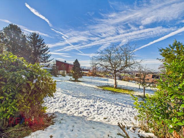 Grundstück kaufen in Schwarzach, Vorarlberg