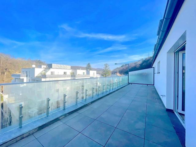 Apartment kaufen in KG Weidlingau, Niederösterreich