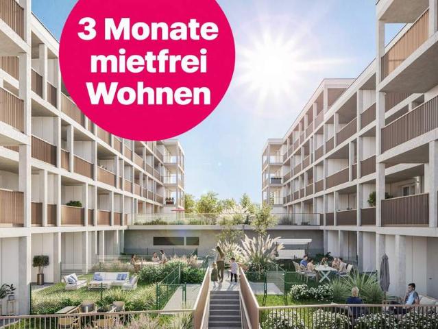 Wohnung mieten in Mödling, Bezirk Mödling