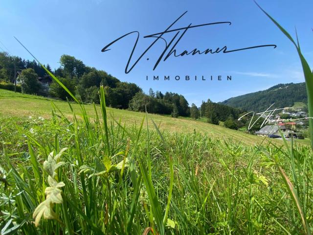 Immobilie kaufen in Neukirchen an der Vöckla, Oberösterreich