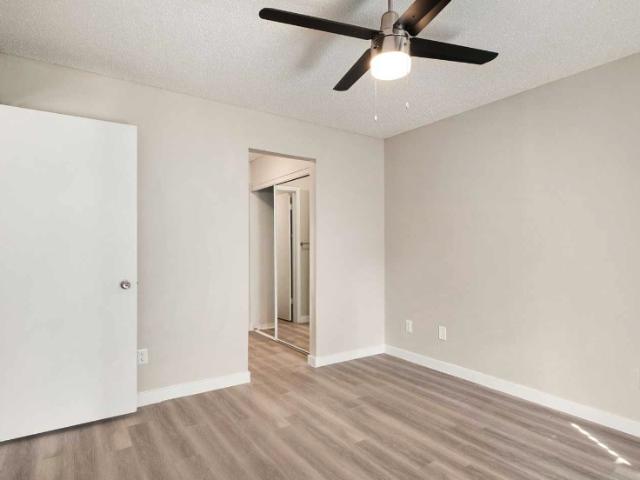 Apartment for rent in Dallas, Texas