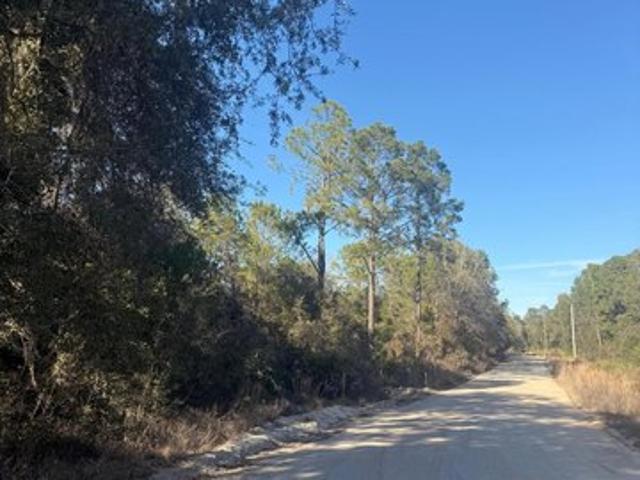 Land for sale in Florahome, Florida