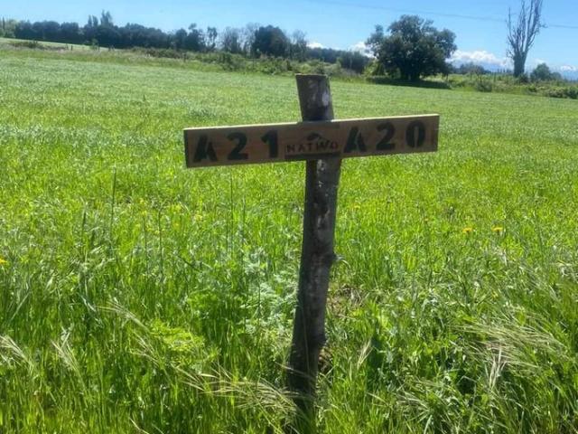 Ñiquén, Ultimas parcelas en verde pradera ñiquen 72505
