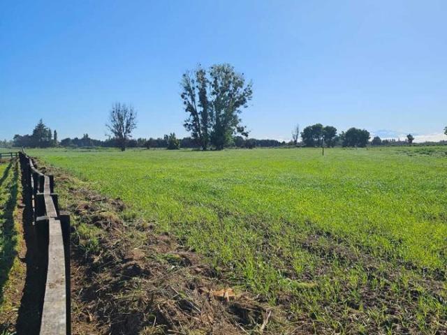 Ñiquén, Ultimas parcelas en verde pradera ñiquen 72505
