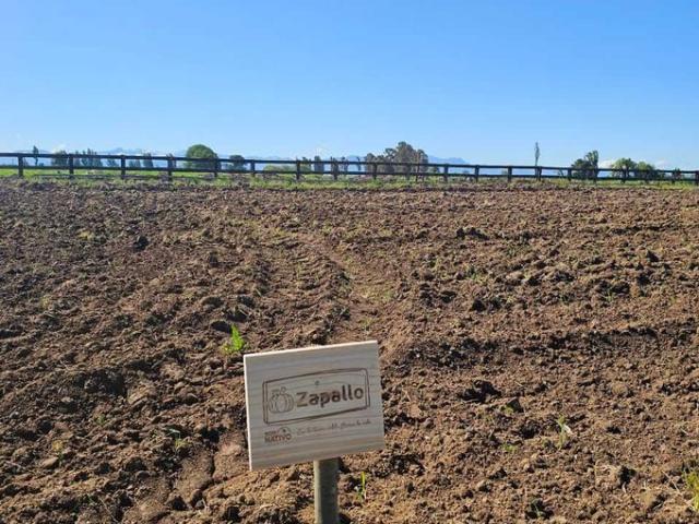Ñiquén, Ultimas parcelas en verde pradera ñiquen 72505