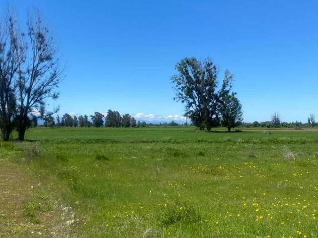 Ñiquén, Ultimas parcelas en verde pradera ñiquen 72505