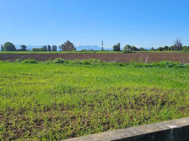 Ñiquén, Ultimas parcelas en verde pradera ñiquen 72505