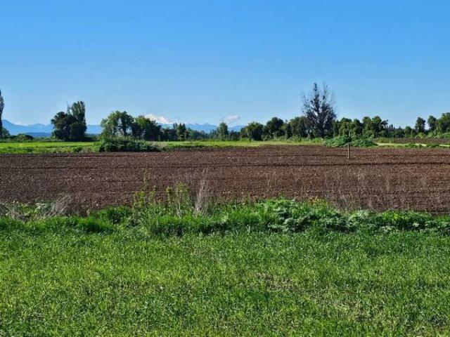 Ñiquén, Ultimas parcelas en verde pradera ñiquen 72505