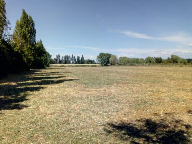 Ñiquén, km 367