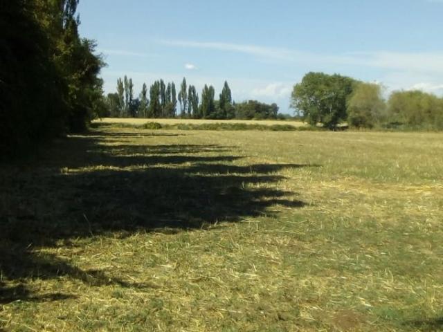Ñiquén, km 367