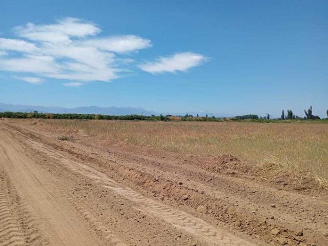 Ñiquén, Parcelas acceso a rio 92608
