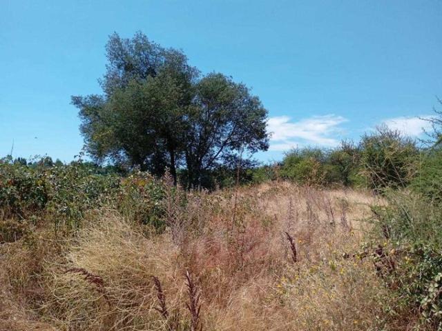 Ñiquén, Parcelas acceso a rio 92608