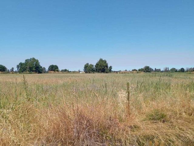 Ñiquén, Parcelas acceso a rio 92608