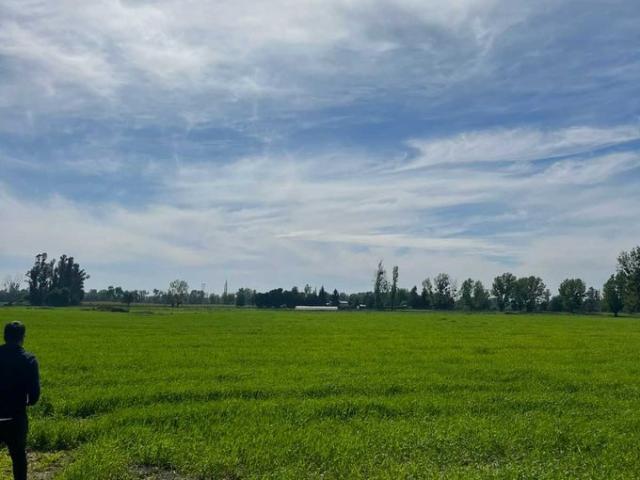 Ñiquén, Hermosas Parcelas en san gregrio ñiquen 101915